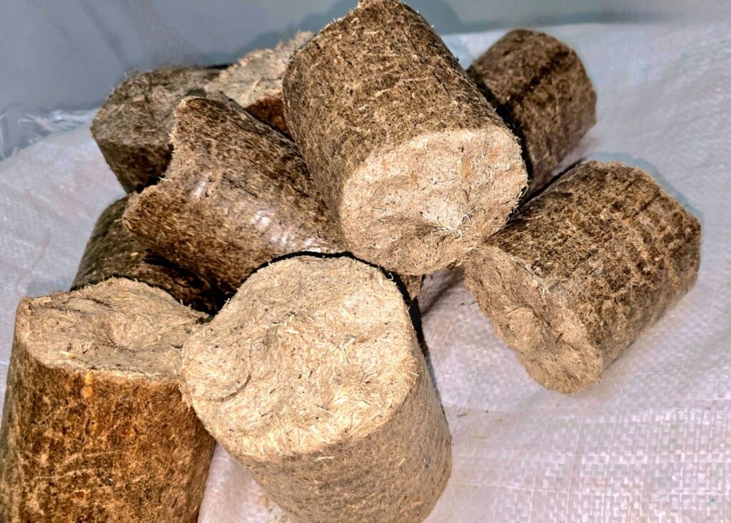 Bagasse Biomass Briquette Fuel for Industrial Boilers